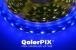 画像6: City Theatrical QolorPIX Pixel Controlled LEDテープ（シティシアトリカル） (6)