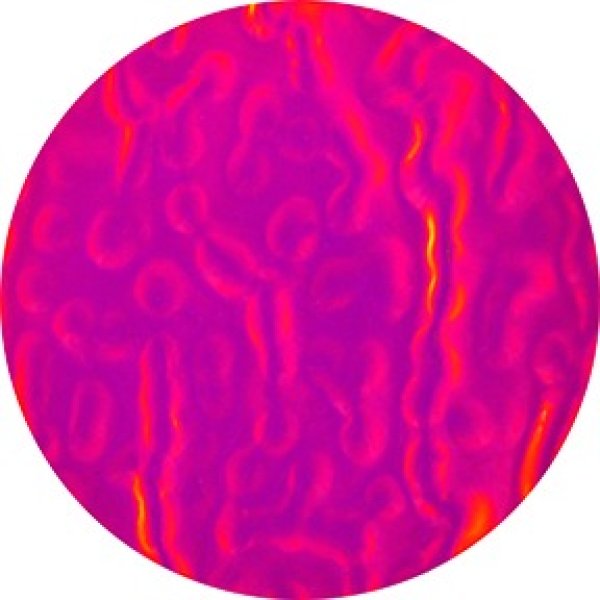 画像1: 33503 Magenta Dune (1)