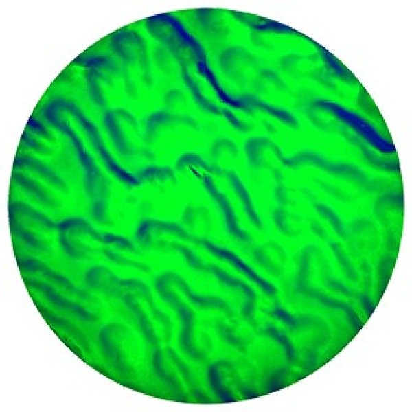 画像1: 33506 Green Dune (1)