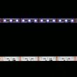 画像3: City Theatrical Eluxtra 4-in-1 LED Strip Light, 12V, Indoor, RGB + Amber (3)