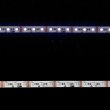 画像3: City Theatrical Eluxtra 4-in-1 LED Strip Light, 12V, Indoor, RGB + 6500K (3)