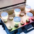 画像10: CORE Lighting TablePoint（テーブルポイント）／10台セット (10)