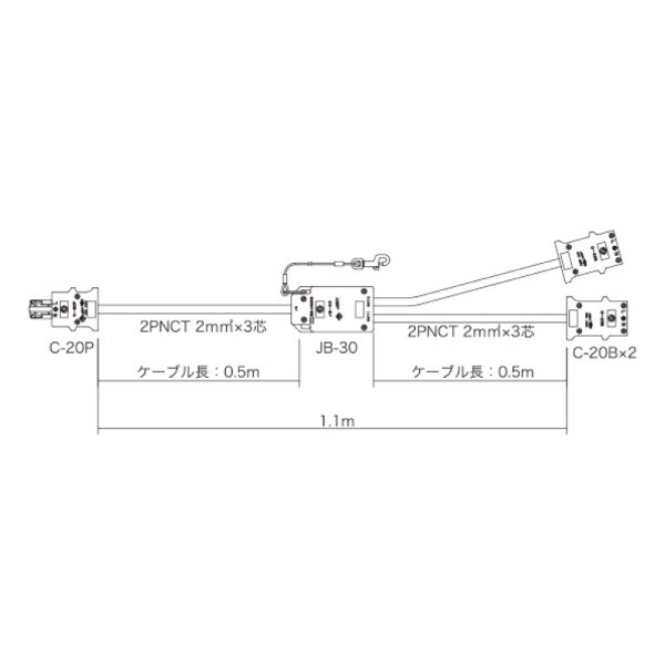 画像1: 松村 C20オス-C20メス x 2 分岐ケーブル（20P-20B2/0.5） (1)