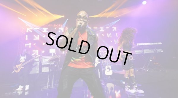 画像16: Chauvet Professional Nexus 4×4 (4台セット+ケース付き）[NEXUS4X4PACK]（ショーベー） (16)