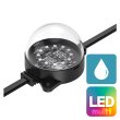 画像1: ENTTEC Smart PXL 60 Dot RGB 24V Black /  Dome Clear (1)