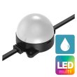 画像1: ENTTEC Smart PXL 60 Dot RGB 24V Black /  Dome Diffuse (1)