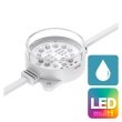 画像1: ENTTEC Smart PXL 60 Dot RGB 24V White / Flat Clear (1)