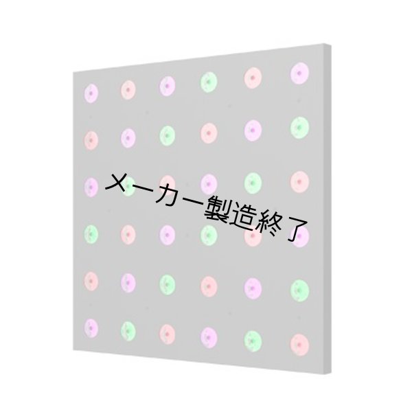 画像2: ACME ANIMA C（アニマ C） (2)