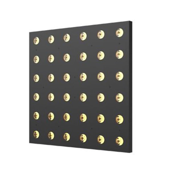 画像2: ACME ANIMA W（アニマ W） (2)