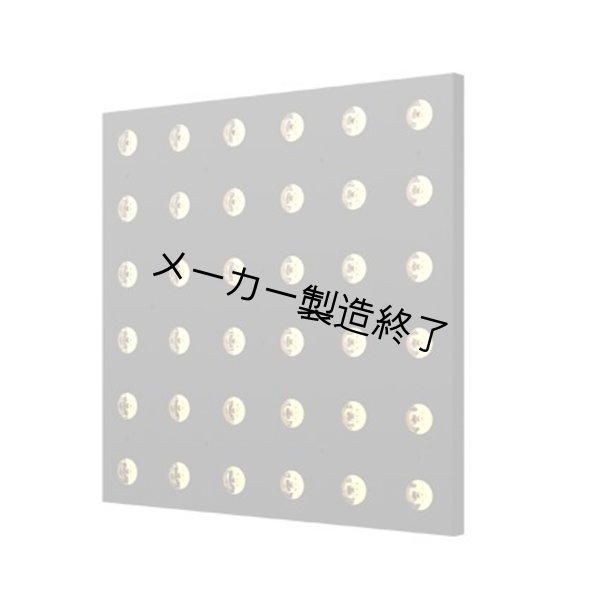 画像2: ACME ANIMA W（アニマ W） (2)