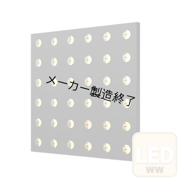 画像1: ACME ANIMA W（アニマ W） (1)