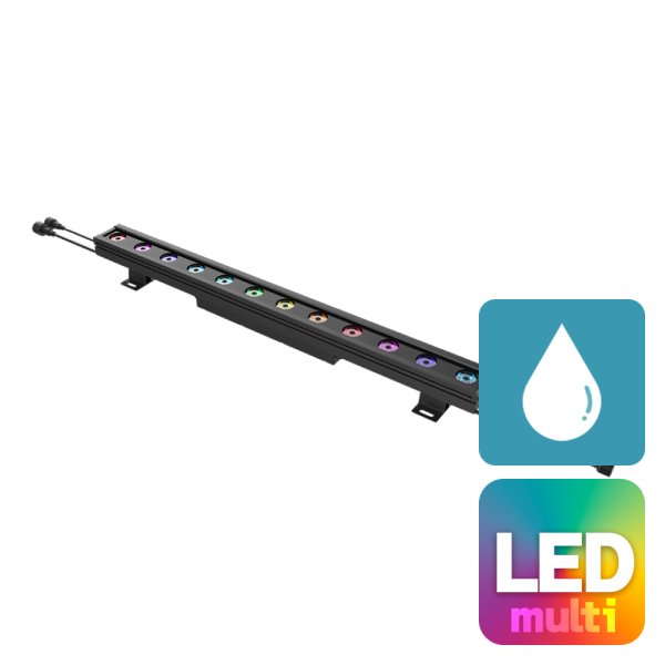 画像1: ACME FLANDINA 12 IP（フランディーナ 12 IP） (1)