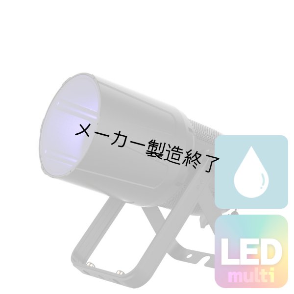 画像1: ACME OCELLARIS（オセラリス） (1)