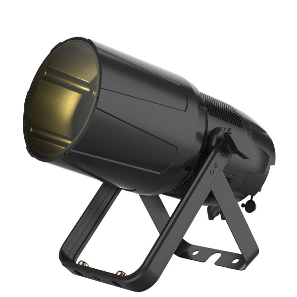 画像2: ACME BELUGA（ベルーガ） (2)