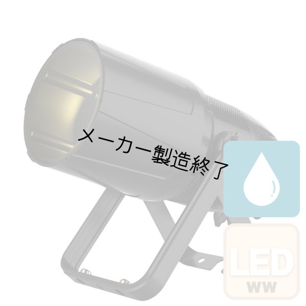 画像1: ACME BELUGA（ベルーガ） (1)