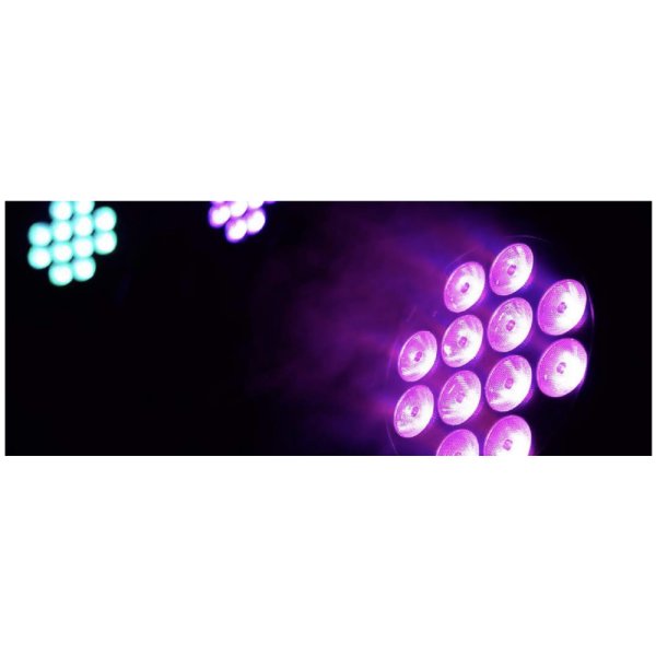 画像5: BOLD 12Q-IP (5)