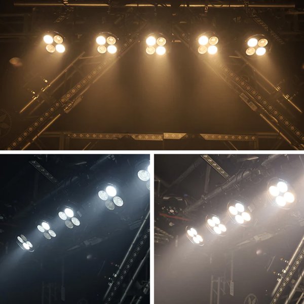 画像9: Big Dipper LC004-H (9)