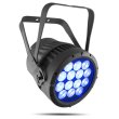 画像1: Chauvet Professional COLORado 2-Quad Zoom（ショーベー プロフェッショナル_ カラーアド） (1)