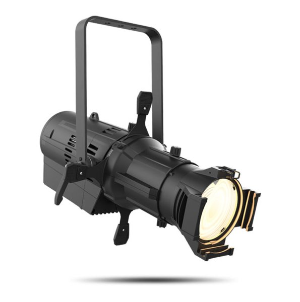 画像3: Chauvet Professional Ovation ED-200WW（オベーション ED-200WW） (3)