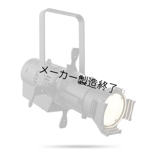 画像3: Chauvet Professional Ovation ED-200WW（オベーション ED-200WW） (3)
