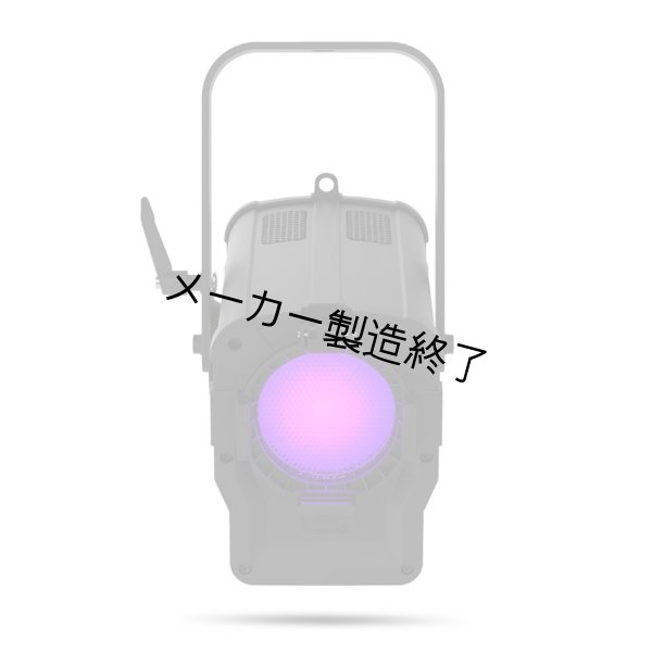 画像3: Chauvet Professional Ovation F-55FC（オベーション F-55FC） (3)