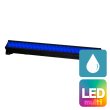 画像1: Chroma Q Color Force 3 72 (1)