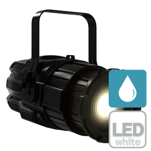 画像1: DTS TENORE 5 HDW (1)