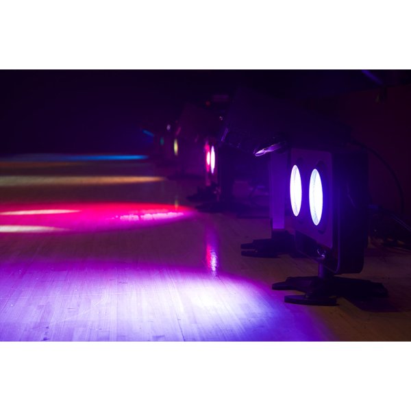 画像5: EK Pro BLINDER 2 COLOR（ブラインダー 2 カラー） (5)