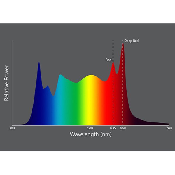 画像3: ETC Source Four LED Series 3 Lustr X8（ソースフォーLED シリーズ3 ラスターX8） (3)