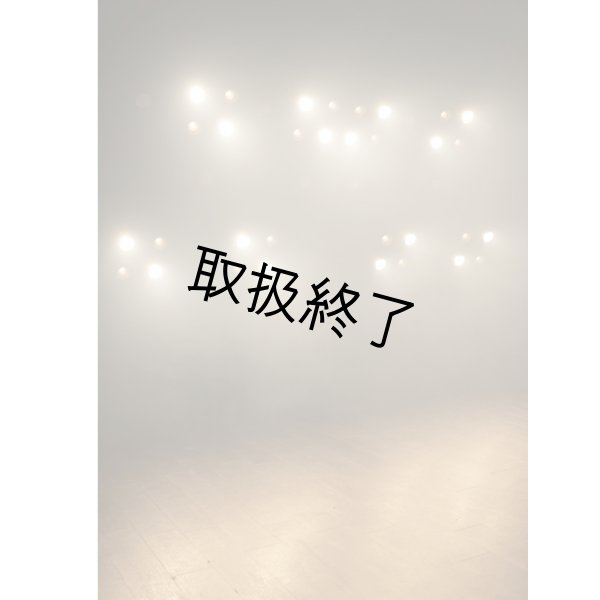 画像6: HIGHLITE Showtec Stage Blinder 4 LED（ショーテック ステージブラインダー 4 LED） (6)