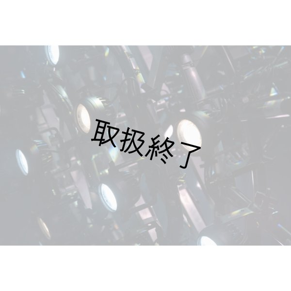 画像14: HIGHLITE Showtec Titan Strobe FLEX FX（ショーテック タイタン ストロボフレックス FX） (14)