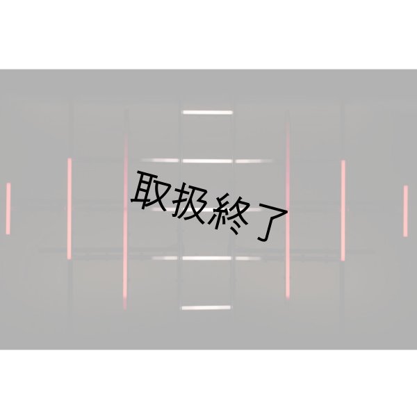 画像6: HIGHLITE Showtec Single Strip for Octostrip FLEX - 0.5 m（ショーテック シングルストリップ for オクトストリップ フレックス - 0.5 m） (6)