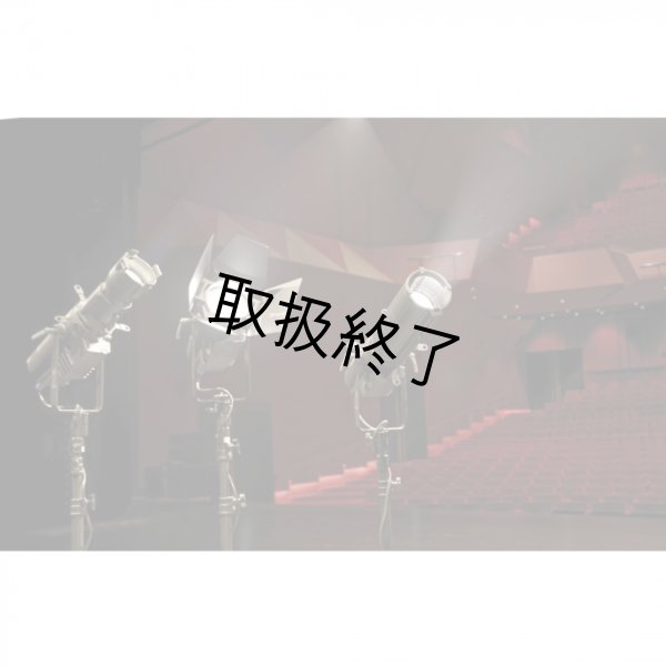 画像10: HIGHLITE Infinity TS-300 Profile Engine 5700K（インフィニティ TS-300 プロファイルエンジン） (10)