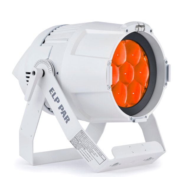 画像9: Martin ELP PAR White（ELP パー 白） (9)