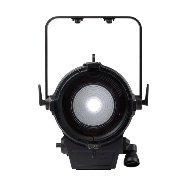 画像14: Martin ELP MANET 8f（ELP マネット 8f） (14)