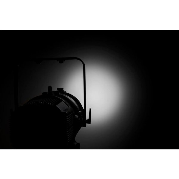 画像19: Martin ELP MANET 8f（ELP マネット 8f） (19)