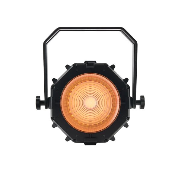 画像9: Martin VDO Atomic Bold（VOD アトミック ボールド） (9)