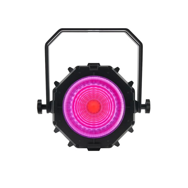 画像11: Martin VDO Atomic Bold（VOD アトミック ボールド） (11)