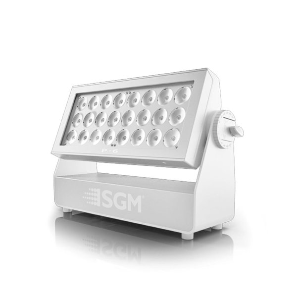 画像3: SGM P-6 スタンダードモデル (3)