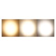 画像4: Silver Star AURORA150 TW (4)