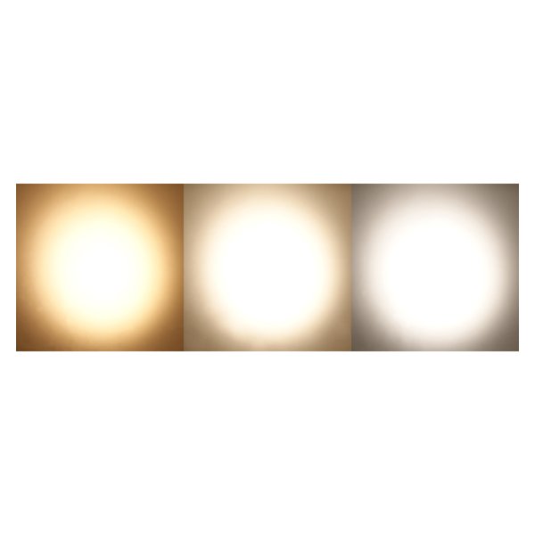画像4: Silver Star AURORA150 TW (4)