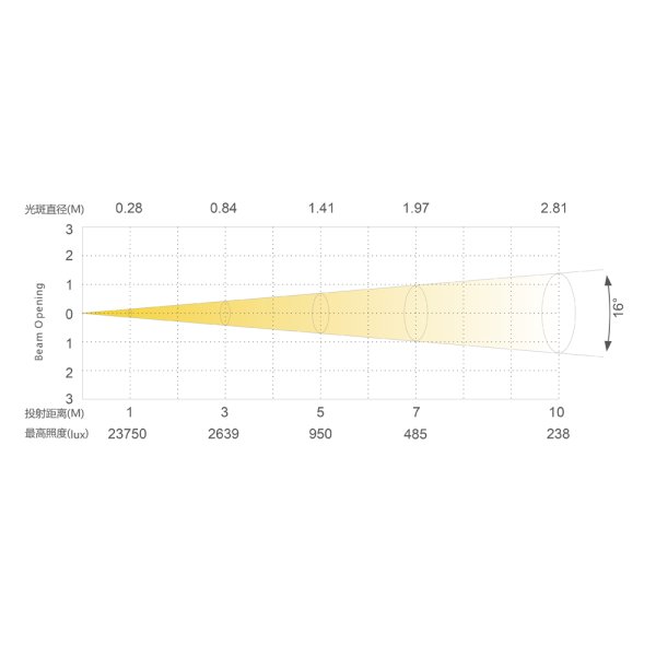 画像4: Silver Star T2 CAM3/EMZ (4)