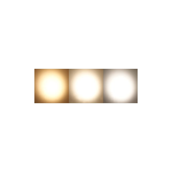 画像4: Silver Star F4 AURORA 150 TCM(F4 オーロラ 150 TCM) (4)