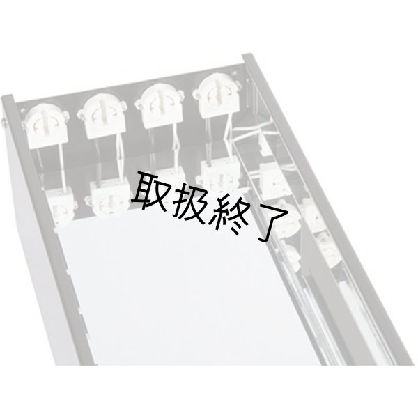 画像5: WildFire Effects Master LED 2' Two Lamp（エフェクトマスター LED 2' 2ランプ） (5)