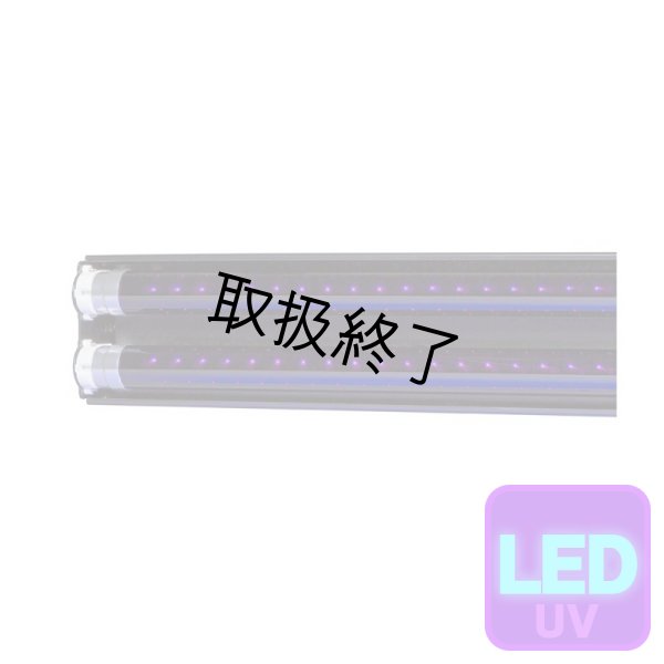画像1: WildFire UltraBlade LED Series, Twin（ウルトラブレイド LED シリーズ ツイン） (1)