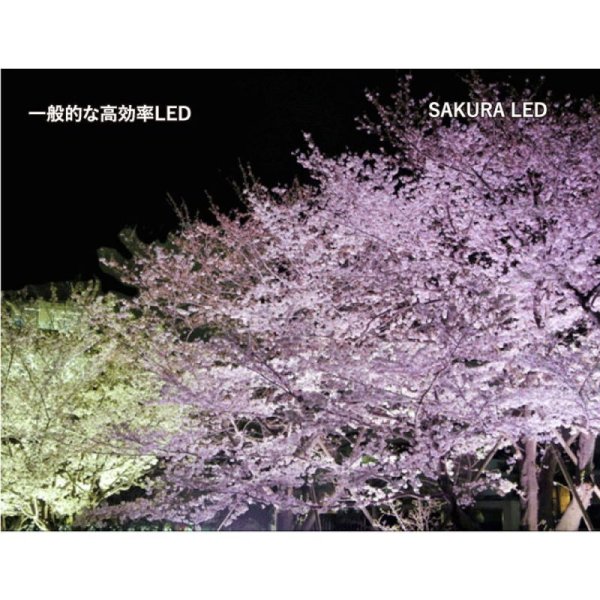 画像3: LIVEGEAR SAKURA TERAS(サクラテラス)100wタイプ (3)