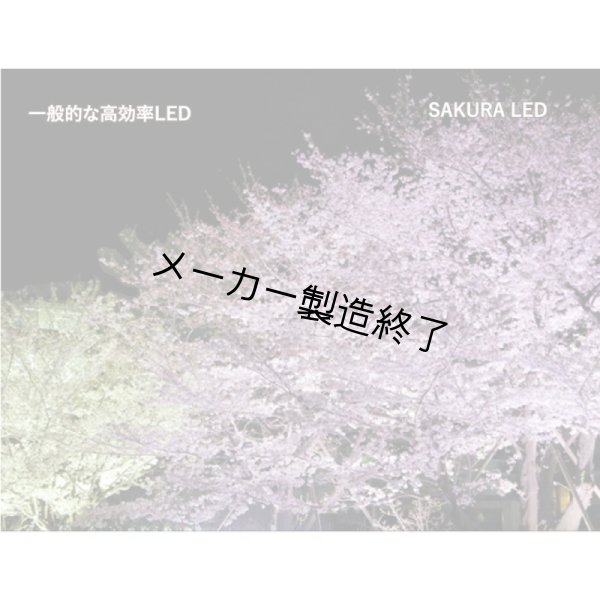 画像3: LIVEGEAR SAKURA TERAS（サクラテラス）35wタイプ (3)