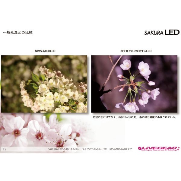 画像4: LIVEGEAR SAKURA TERAS(サクラテラス)100wタイプ (4)