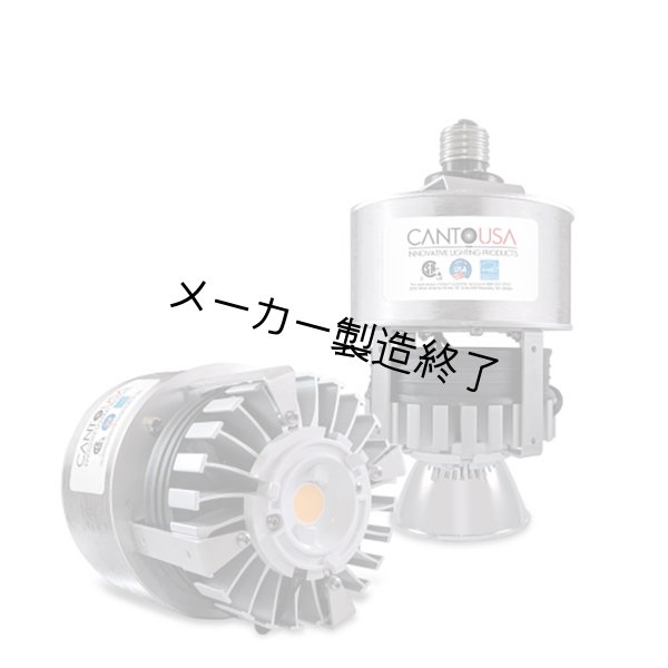 画像2: Canto USA RETRO-Classic 300(30ワット) (2)