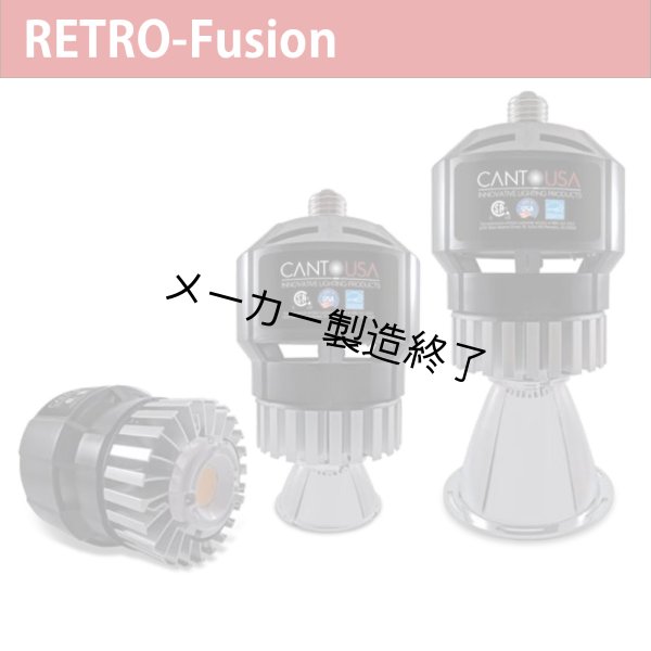 画像1: Canto USA RETRO-Fusion 1000（90ワット） (1)